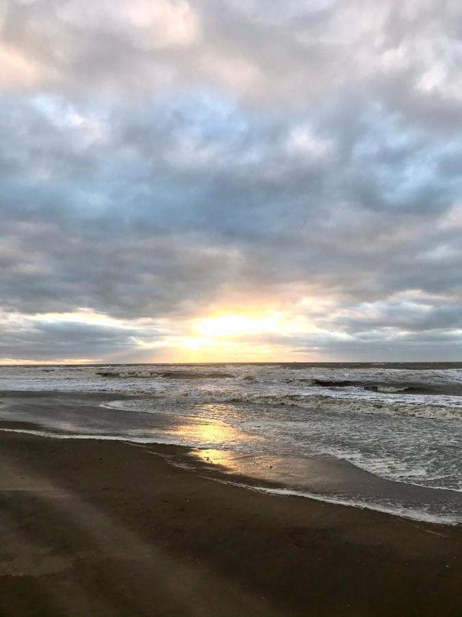 Готель Hippocampus Aan Zee Katwijk aan Zee Екстер'єр фото